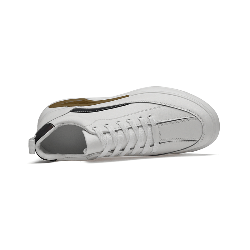 Top View of Elemental Height Increasing Sneakers | Levante Shoes