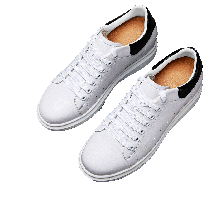 Rove Elevator Sneakers Top View on Transparent Background | Levante Shoes
