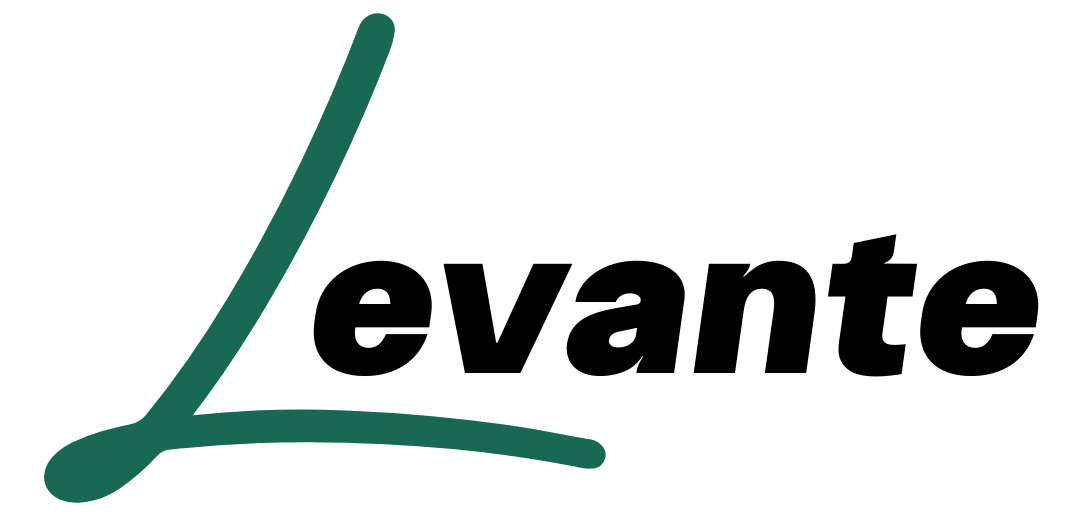 LevanteShoes