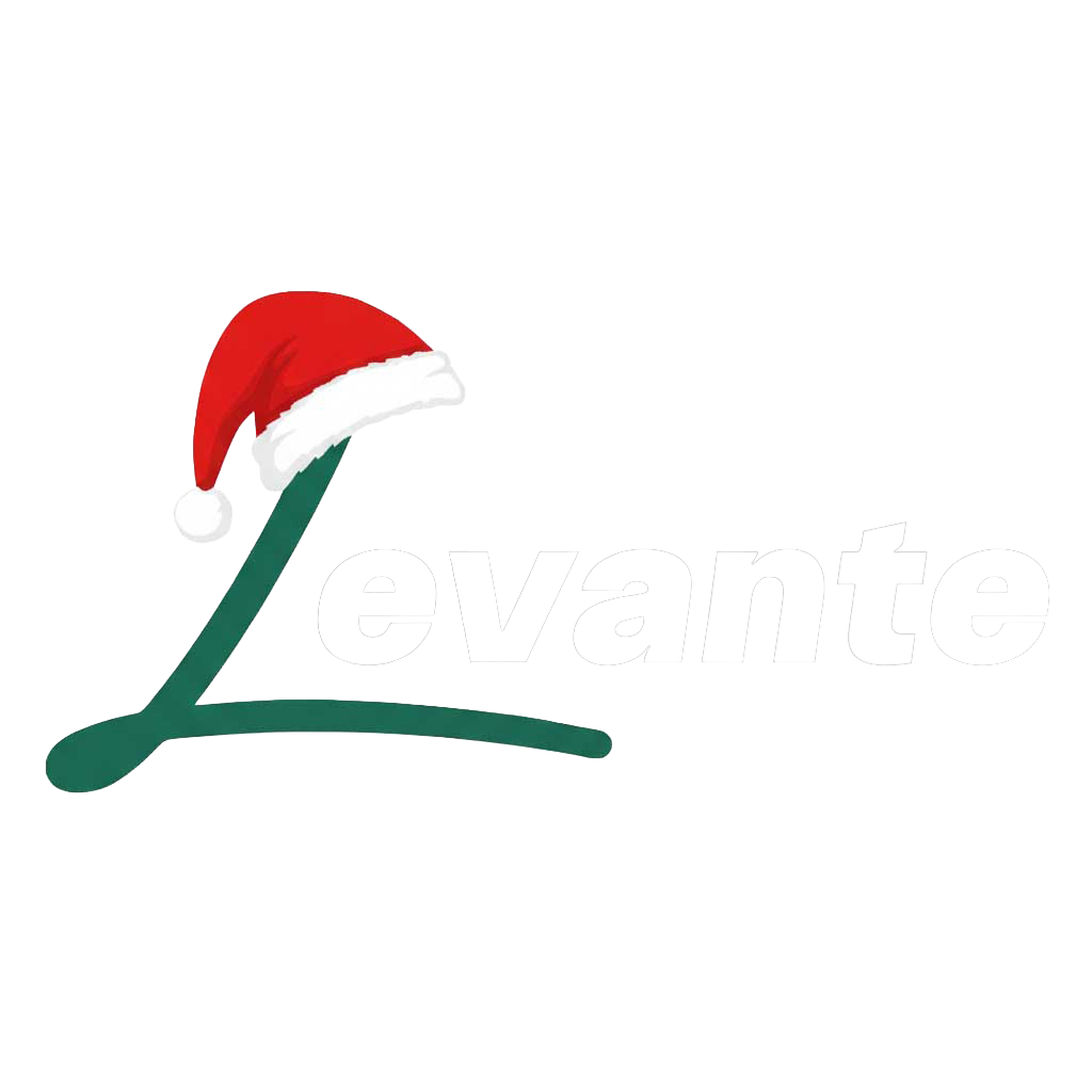 LevanteShoes